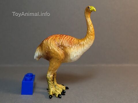 Dinornis Toy Animal Wiki