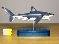 EKG-1 Colorata Great white shark.JPG