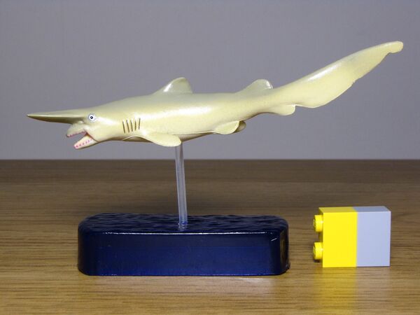 Colorata Sharks of the World Deluxe Goblin shark - Toy Animal Wiki