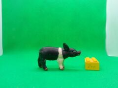 ELC Black and White Piglet standing