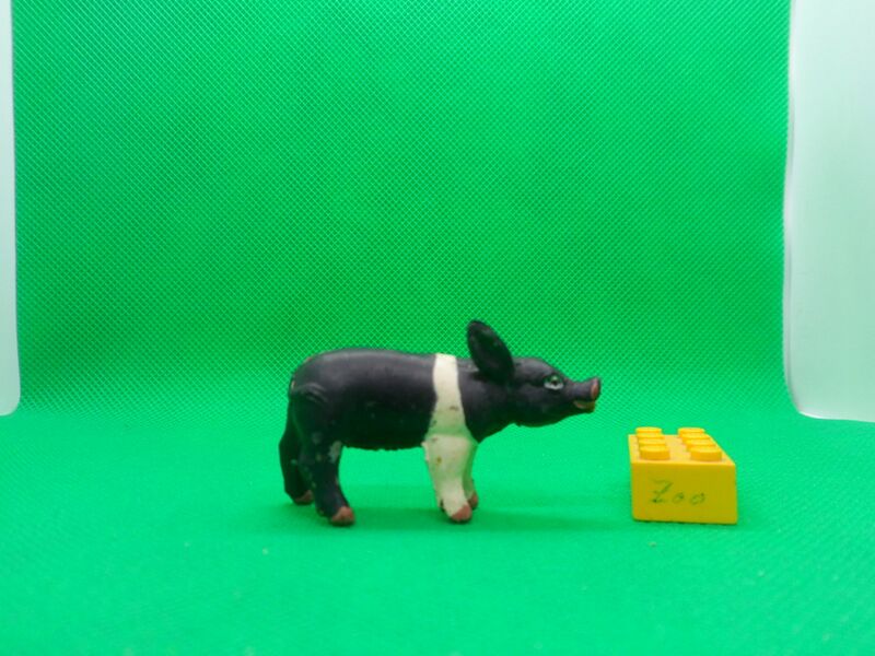 File:ELC-Sadleback piglet-WD.jpg