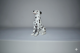 AAA Dalmatian puppy