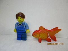 ELC Mini Goldfish