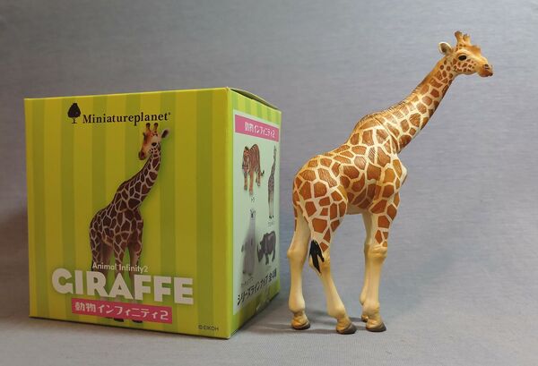 Eikoh-infinity-giraffe-box-kostas.jpg