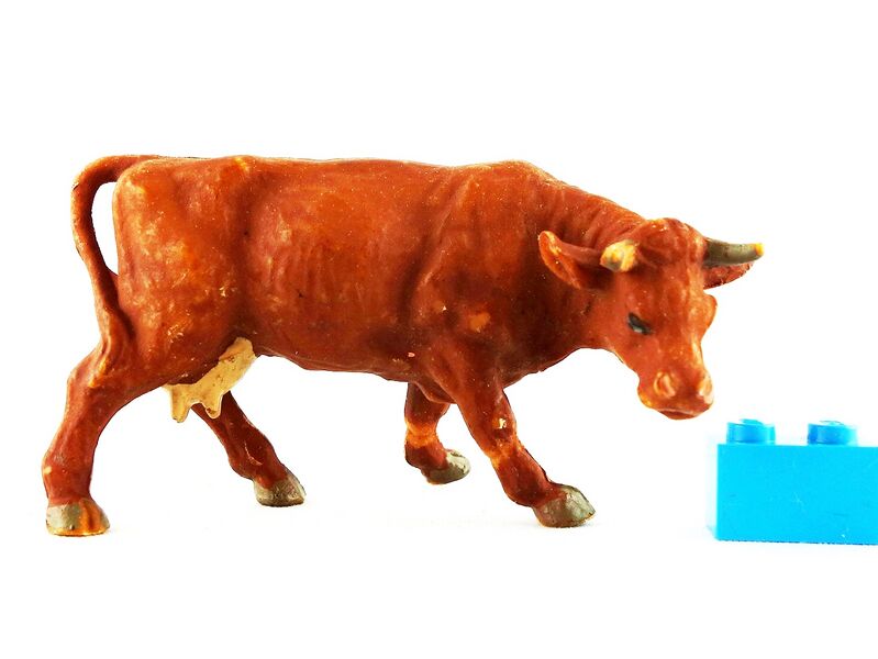 File:Elastolin 4573 Cow looking down right.jpg