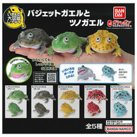 Budgett's frog and Horned frog