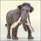 EoFauna Mammuthus columbi 9.jpg