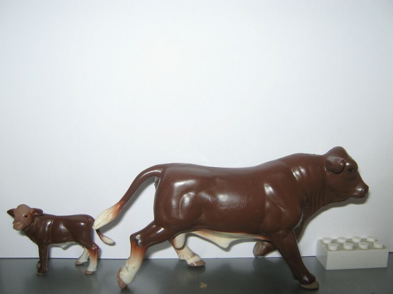 File:Ertl Maine-Anjou cattle.jpg