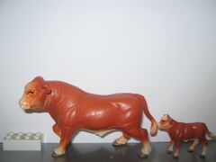 Ertl Simmental cattle