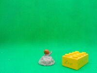 Snail
