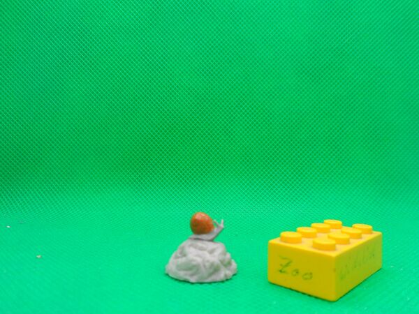 Farmmania-snail-wd.jpg