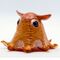 Flapjack Octopus.JPG