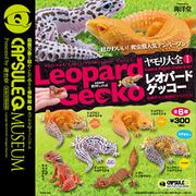 Gecko Encyclopedia Vol1