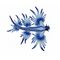 Glaucus atlanticus thumb.jpg