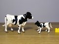 HCJ HCK-2 Ertl Holstein cattle.JPG
