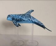 Risso's Dolphin