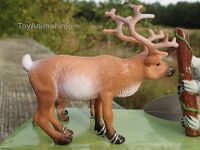 Caribou