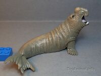 Southern elephant Seal