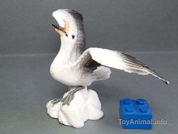 HKT9717alAlbatross.JPG