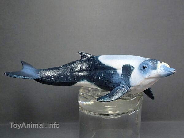 HKT9717alWhale.JPG