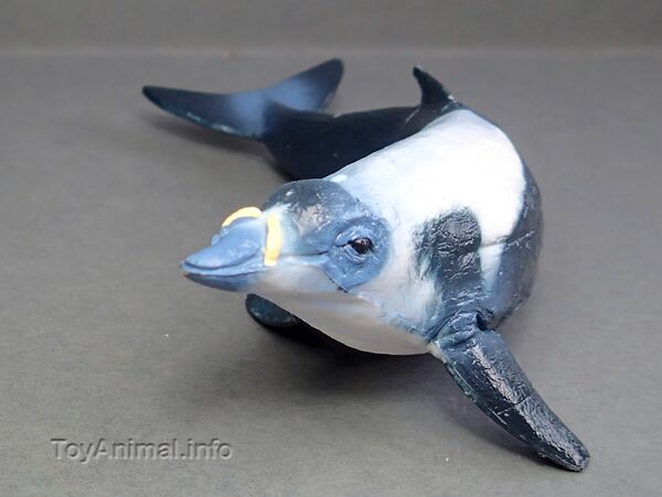 HKT9717alWhaleFace.JPG