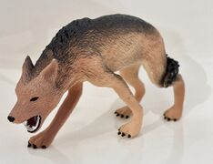 Hobby & Work Black-backed Jackal