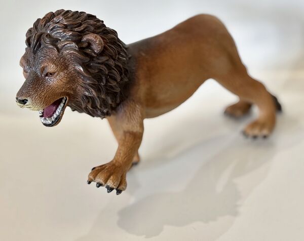 HW-lion-ric.jpg