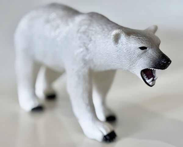 HW-polarbear-ric.jpg