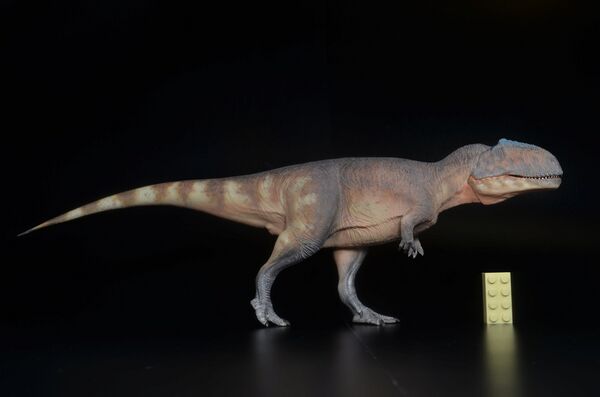 Haolonggood Giganotosaurus ((red) Jolie1.jpg