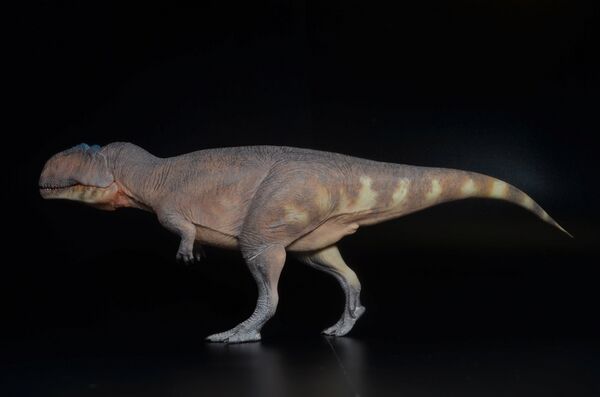 Haolonggood Giganotosaurus ((red) Jolie2.jpg