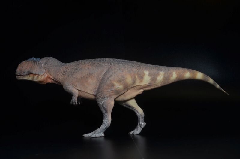 File:Haolonggood Giganotosaurus ((red) Jolie2.jpg