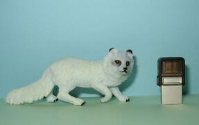 Happy Kin Toys Arctic Fox