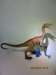 Coelophysis