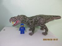 Scaphonyx