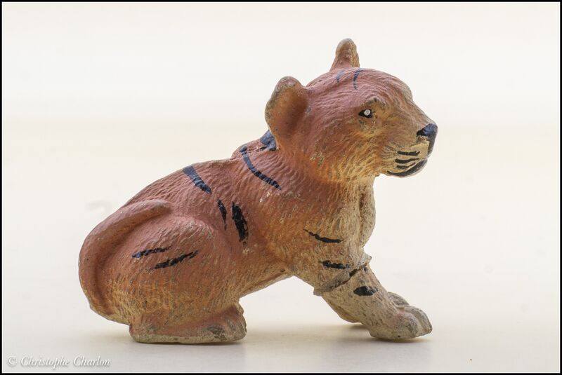 File:Hausser Ealstolin Tiger cub sitting 3.jpg