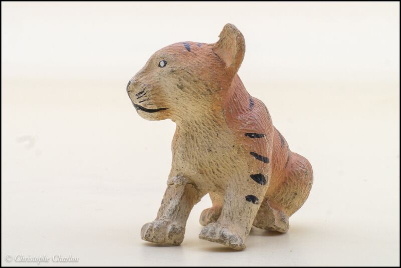 File:Hausser Ealstolin Tiger cub sitting 4.jpg