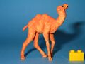 Hausser Elastolin 54 mm bactrian camel calf 2.JPG