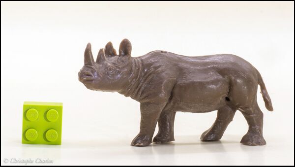 Heinerle Black rhinoceros 1.jpg