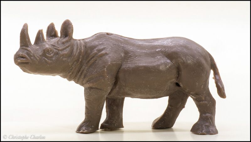 File:Heinerle Black rhinoceros 2.jpg