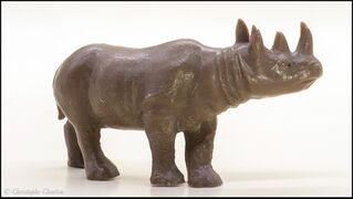 Heinerle Black rhinoceros 4.jpg
