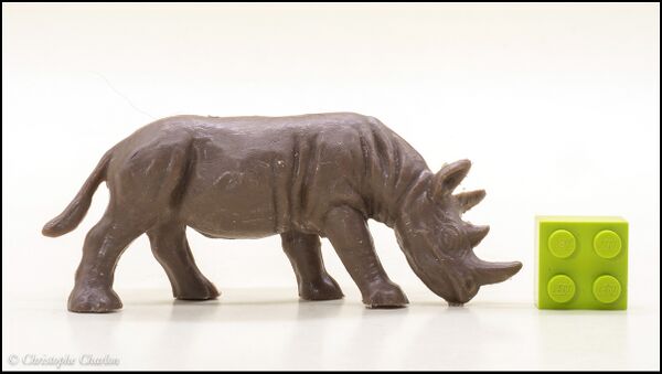 Heinerle Black rhinoceros grazing 1.jpg