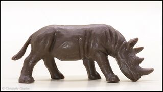 Heinerle Black rhinoceros grazing 2.jpg