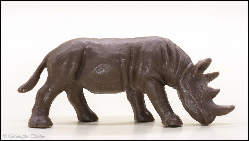 File:Heinerle Black rhinoceros grazing 2.jpg