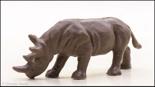 Heinerle Black rhinoceros grazing 3.jpg