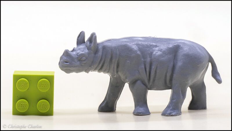 File:Heinerle Black rhinoceros young 1.jpg