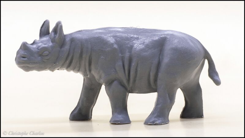 File:Heinerle Black rhinoceros young 2.jpg