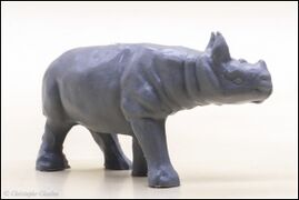 Heinerle Black rhinoceros young 4.jpg