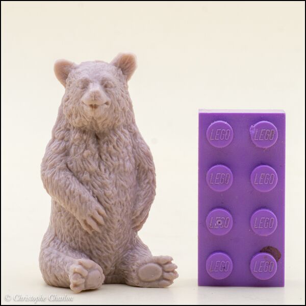 Heng Mu Moon bear 1.jpg