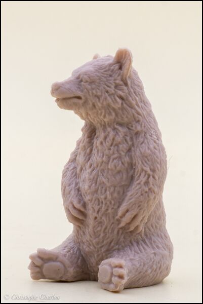 File:Heng Mu Moon bear 3.jpg