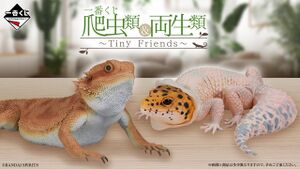 Ichibankuji Reptiles & Amphibians ~Tiny Friends~ vol.1